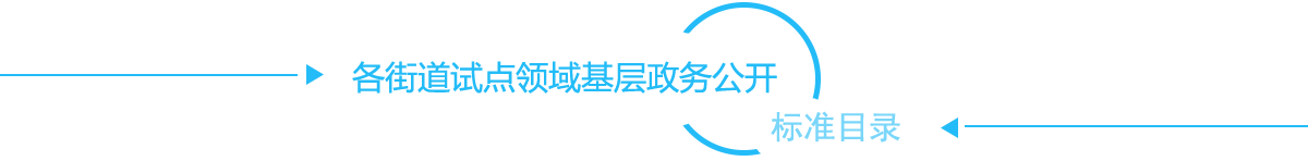 各街道试点领域基层政务公开标准目录