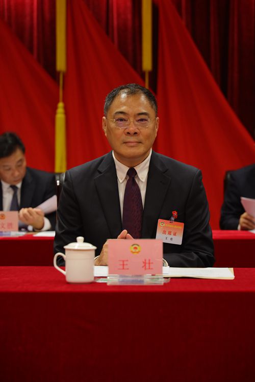 王壮副主席_副本.jpg