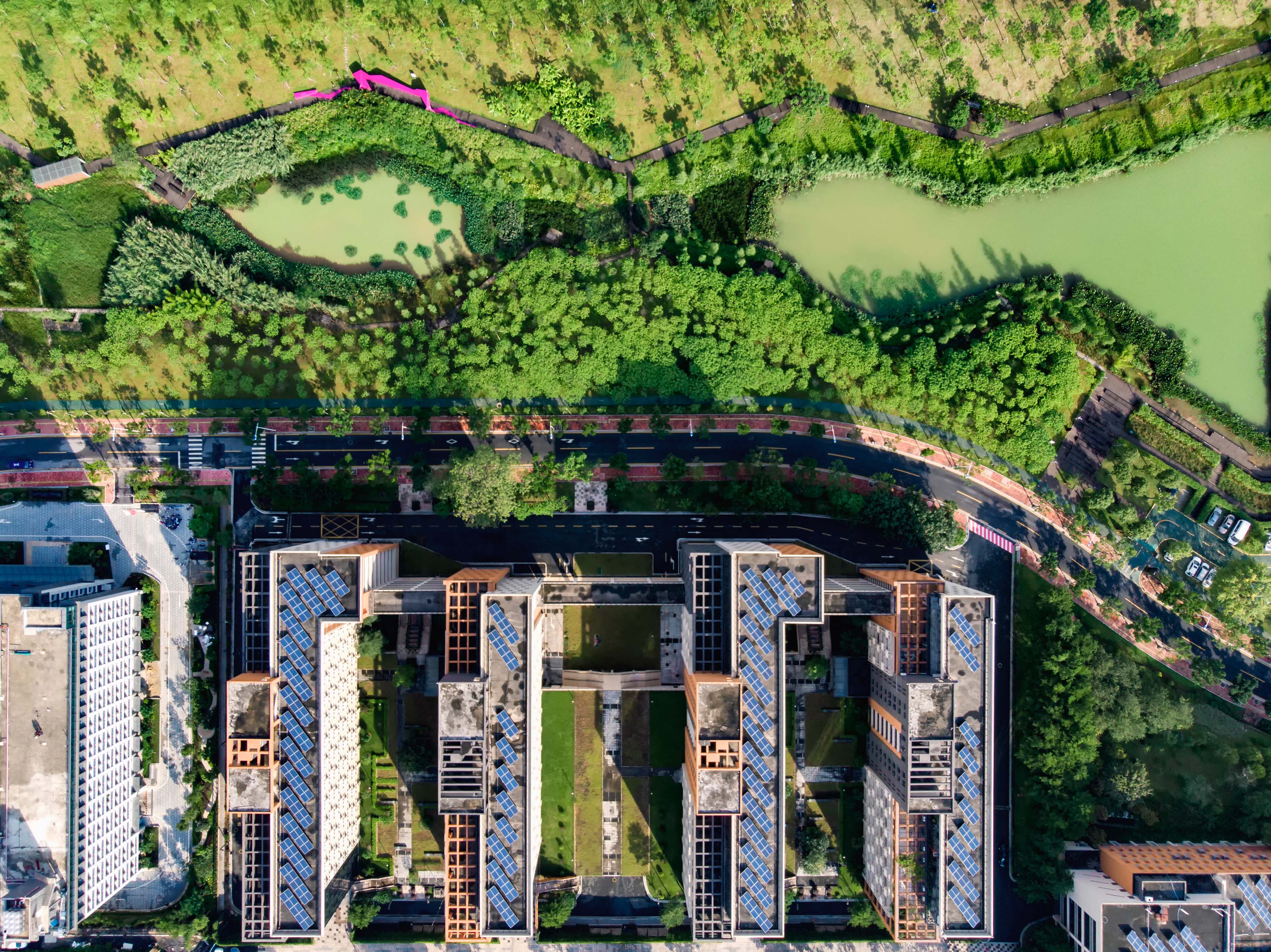 天河湿地公园，广州首个海绵城市建设试点