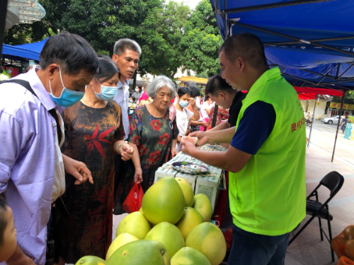 五华县的红肉蜜柚受居民热捧.JPG