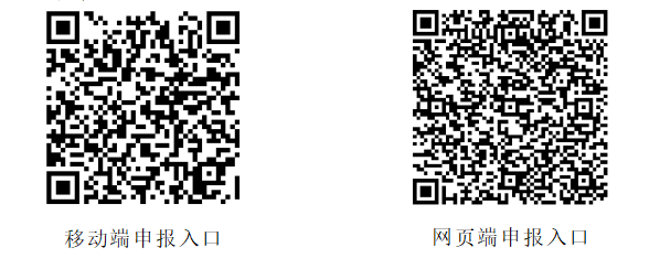 申报入口.png