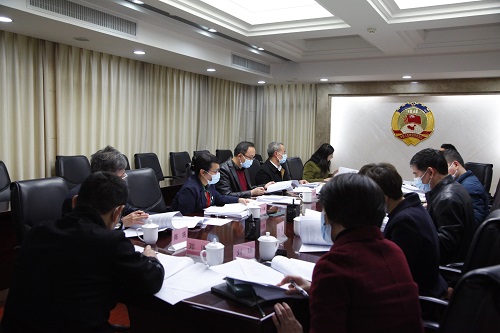 委员参加九届二次会议第一次提案预审会议.jpg