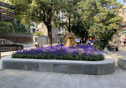 江园街路口口袋公园后.jpg