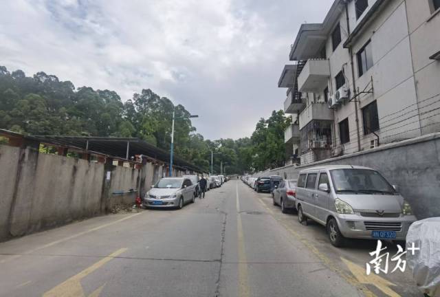 凤凰街道柯木塱社区葫芦岭街六巷路面改造前