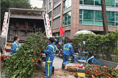 广环投车辆对年花年桔枝叶进行分类收运.jpg