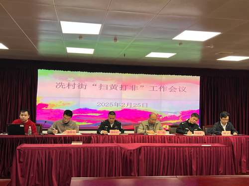 冼村街召开2025年扫黄打非工作会议 图片.jpg