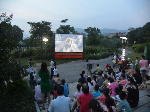 凤凰街举行纪念中国共产党成立95周年影片展