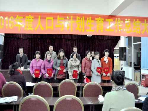 小学人口计生工作总结_桃花小学召开会议总结2013年计生工作(2)