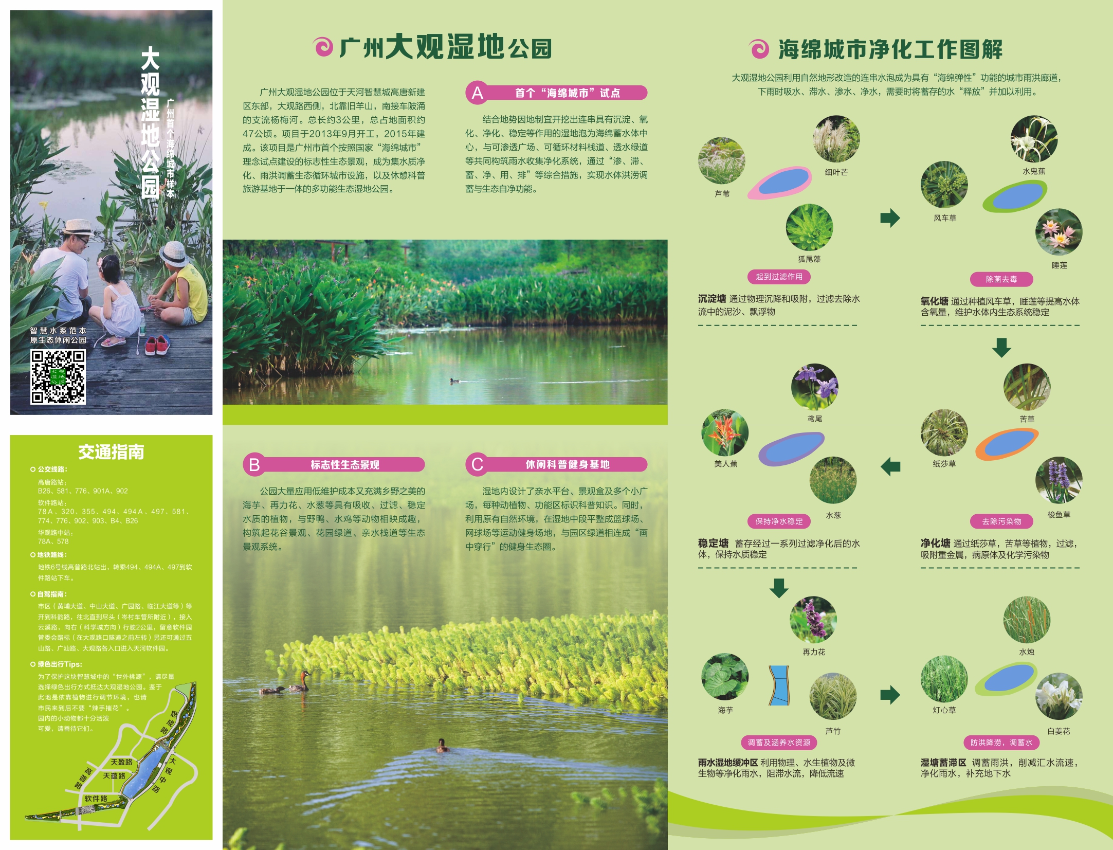 大观湿地公园终极稿件2016062916时（正面）